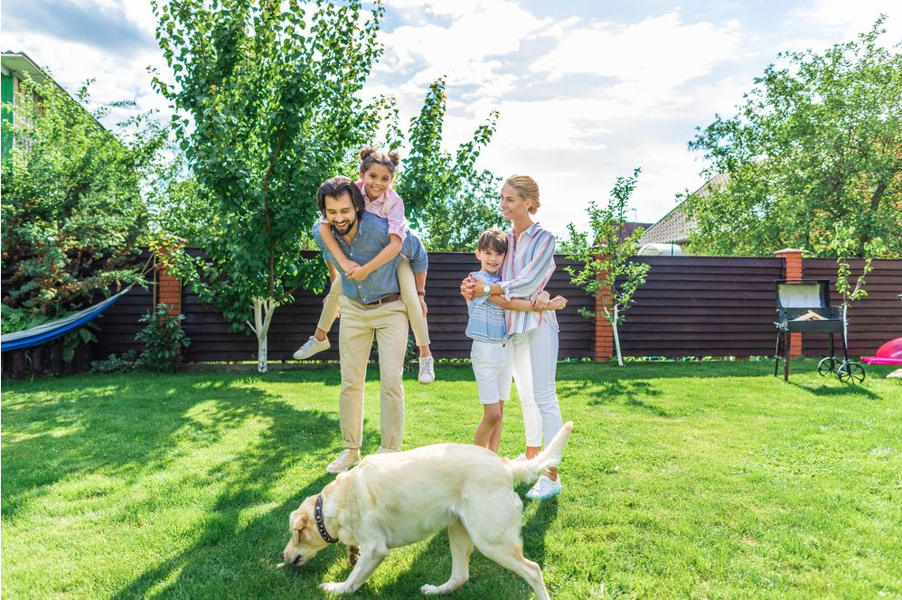 Screenshot 2026-03-05 164553