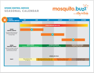 Spider Control Service