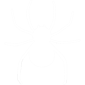 icon-spider