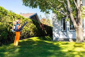 mosquito buzz Cambridge pest control services 