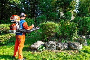 mosquito buzz fredericton pest control services 