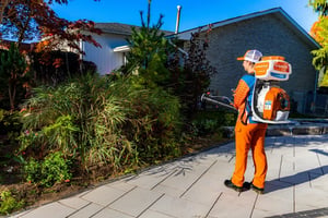 mosquito buzz huron pest control services 