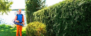 IMG_7460-Edit-Edit