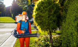 mosquito buzz Sault Ste. Marie pest control services 