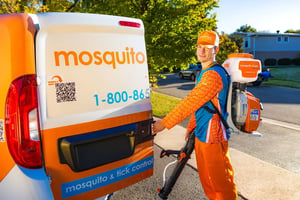  mosquito buzz Moncton pest control services 