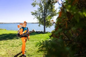 mosquito buzz Niagara  pest control services 