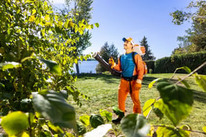 mosquito buzz oshawa pest control services 