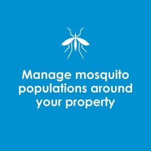 tipsheet-mosquitopopulations-thumbnail