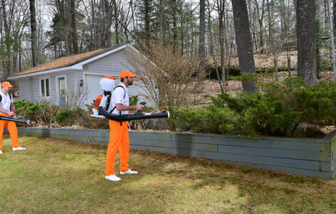We treat areas of your property where mosquitoes live, rest, and hide.