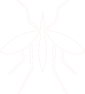 mosquito 