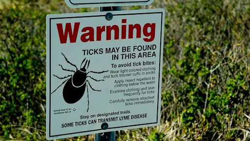 ticks4