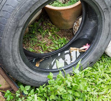 tiremedium
