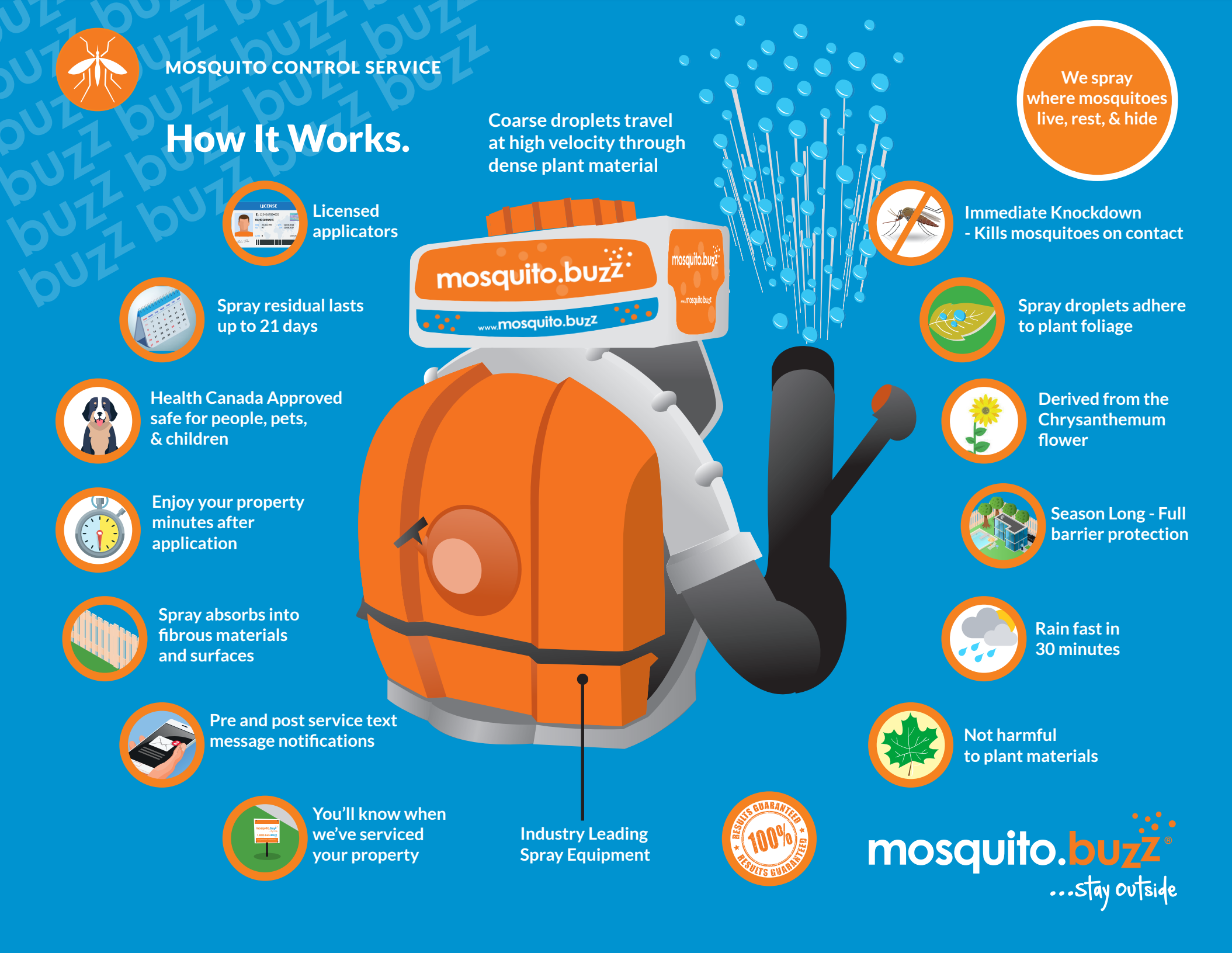 mosquito.buzz How it works infographic