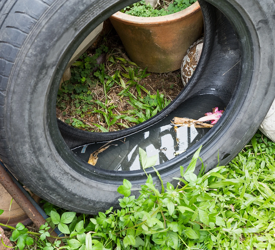 tiremedium